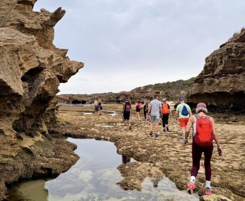 Sunset, Rock Pools & Coastal Lookouts – 6km