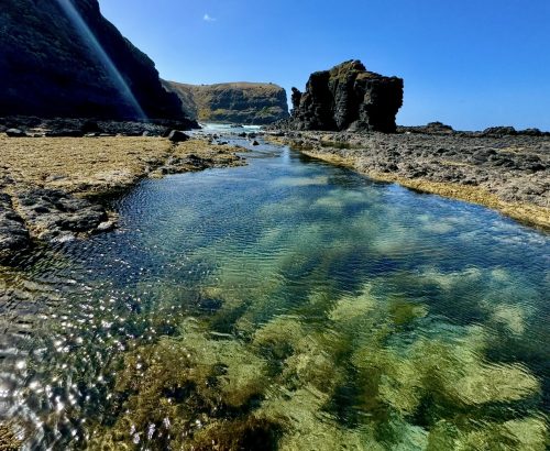 Cape Schanck & Bushrangers Bay Sunset Hike (7-8 km)